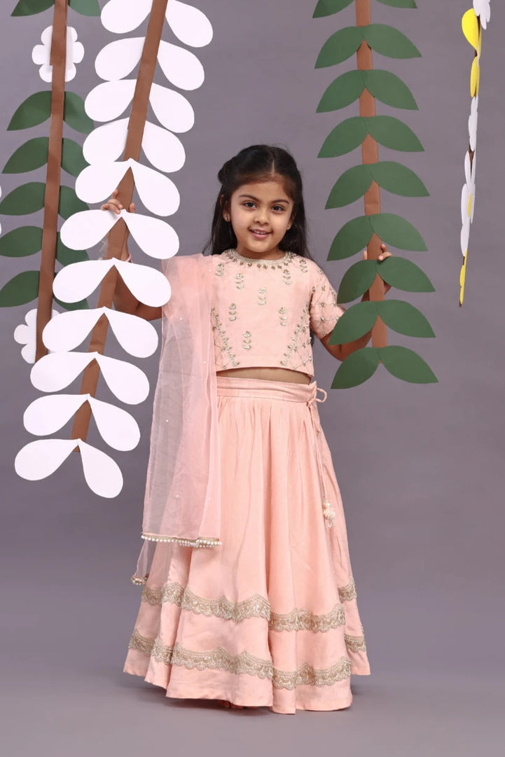 Gold Work Embroidered Silk Lehenga and Blouse in Light Pink