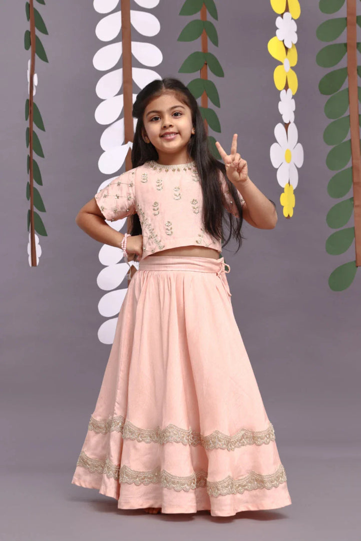 Gold Work Embroidered Silk Lehenga and Blouse in Light Pink