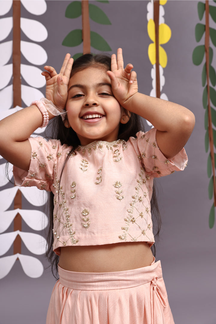 Gold Work Embroidered Silk Lehenga and Blouse in Light Pink