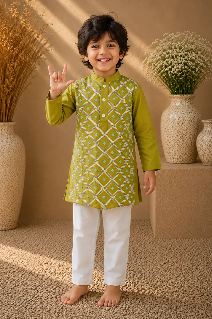 Pista — Embroidered Kurta & Pajama Set in Olive