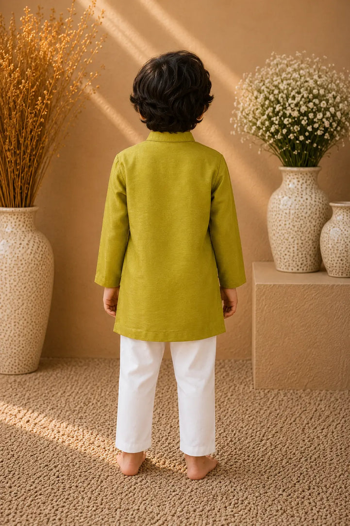 Pista — Embroidered Kurta & Pajama Set in Olive