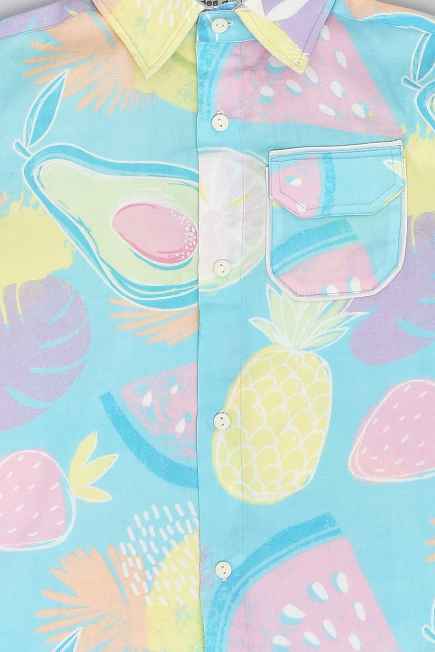 Summer Fruits Splash Half Sleeve Colourful Shirt for Boys