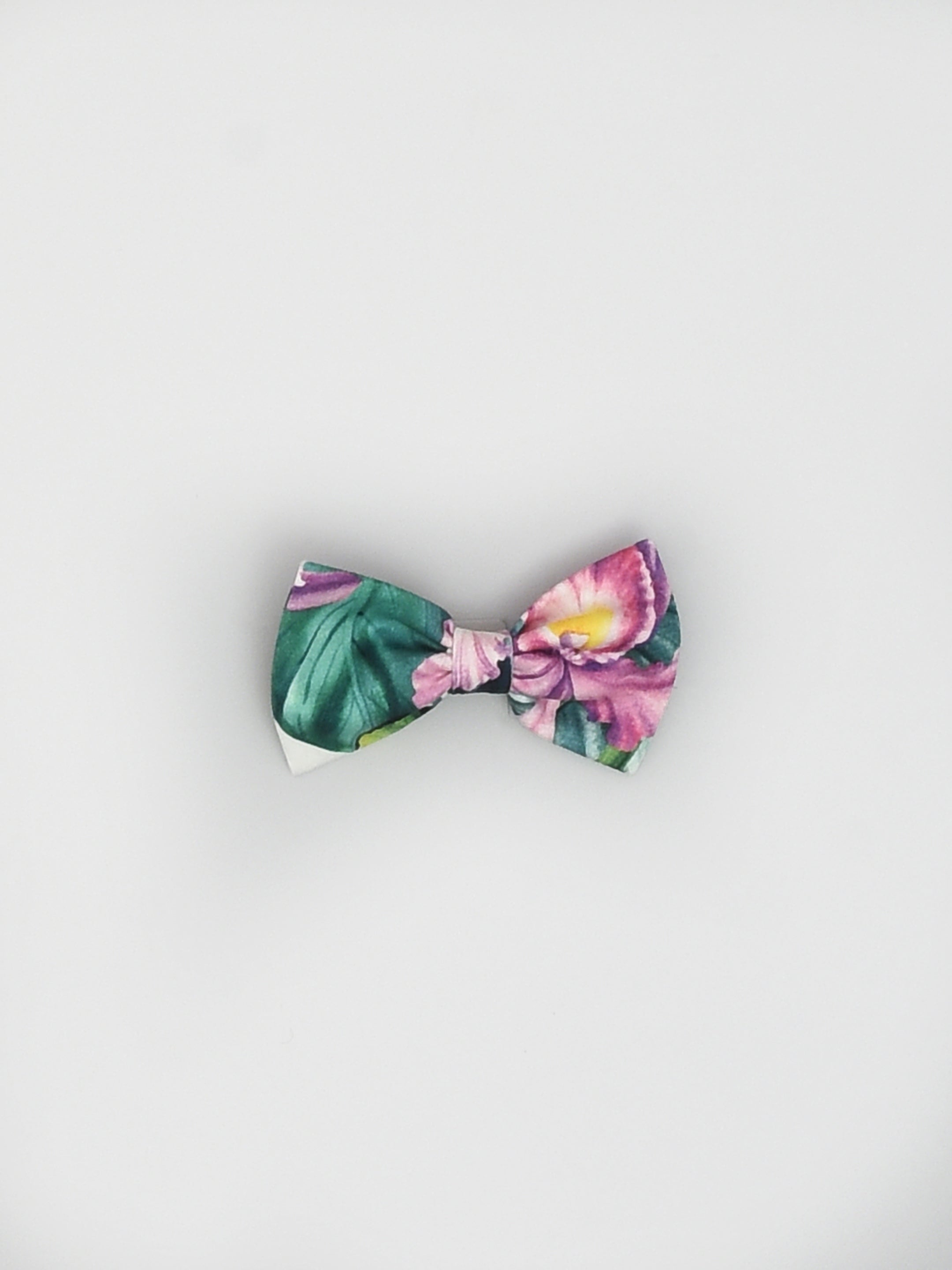 Butterfly Garden Dress