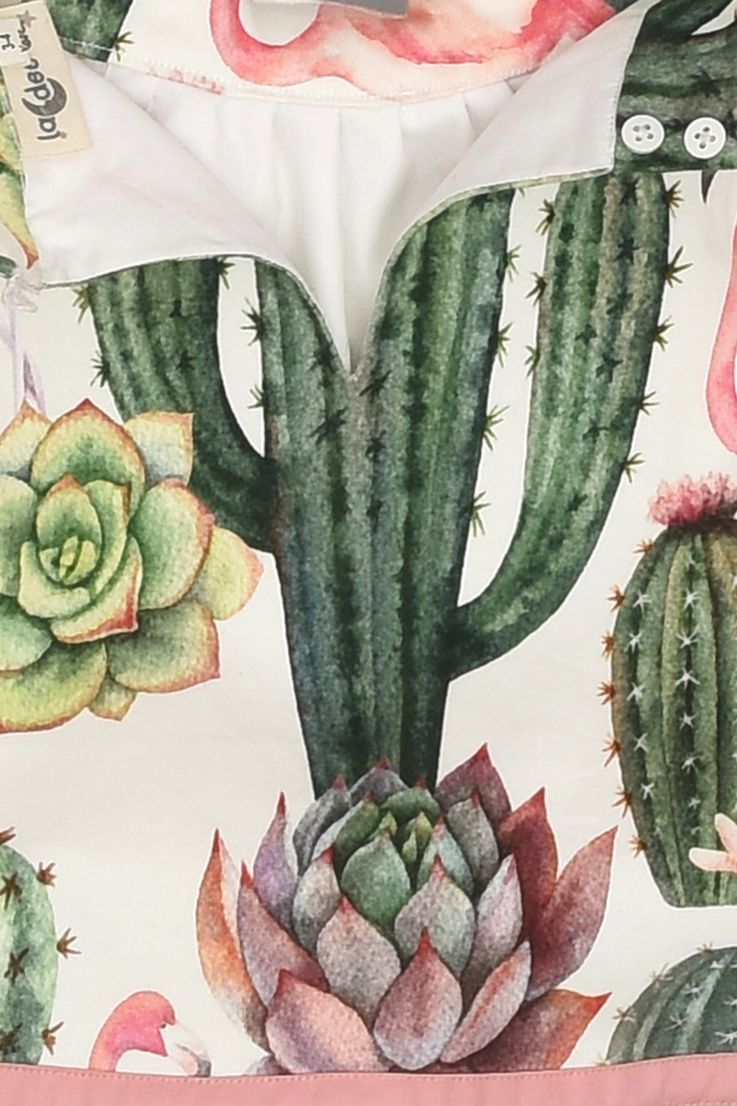 الصبار فلامنغو الأعلى