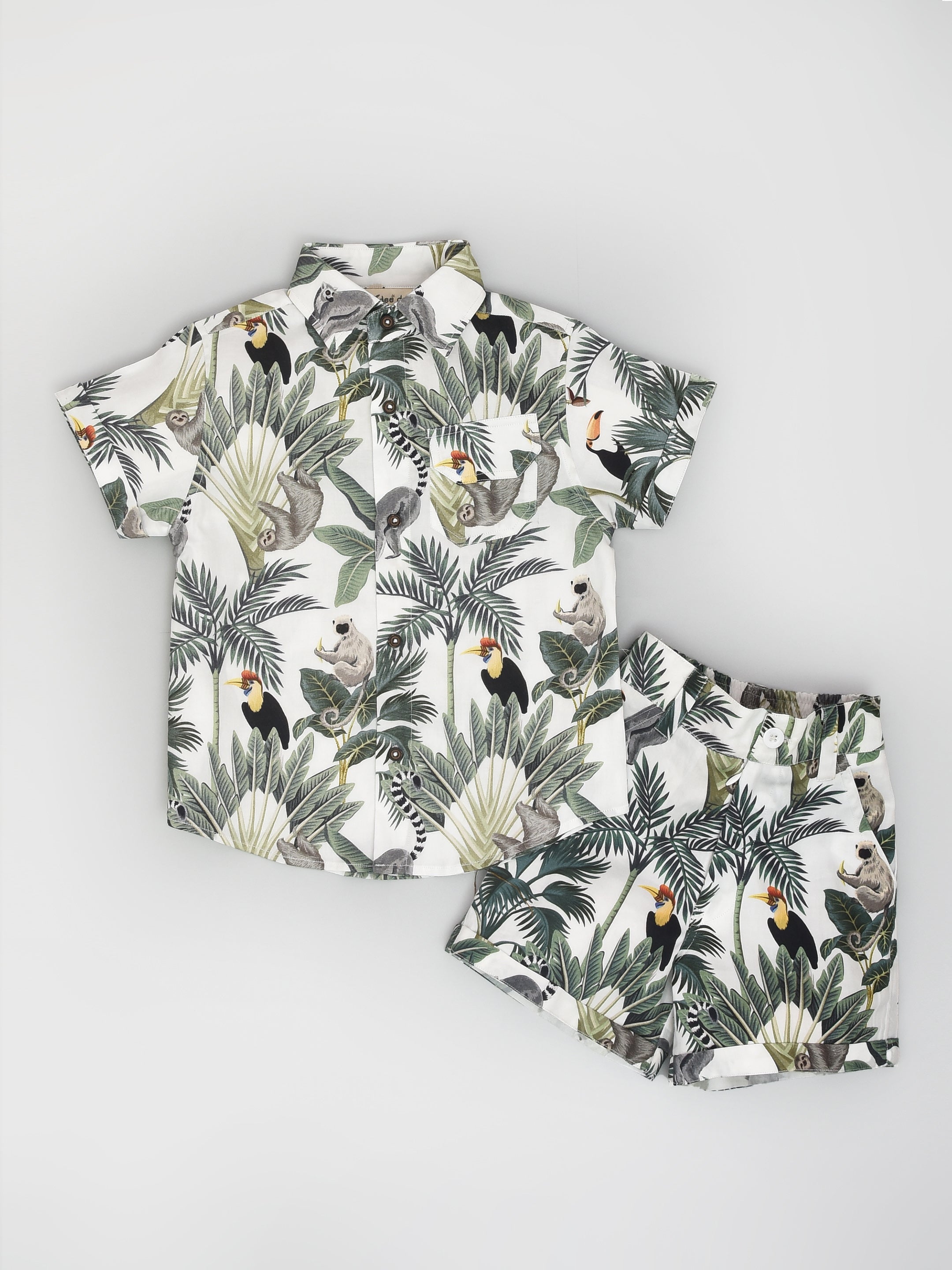 Tropical Shirt and Shorts