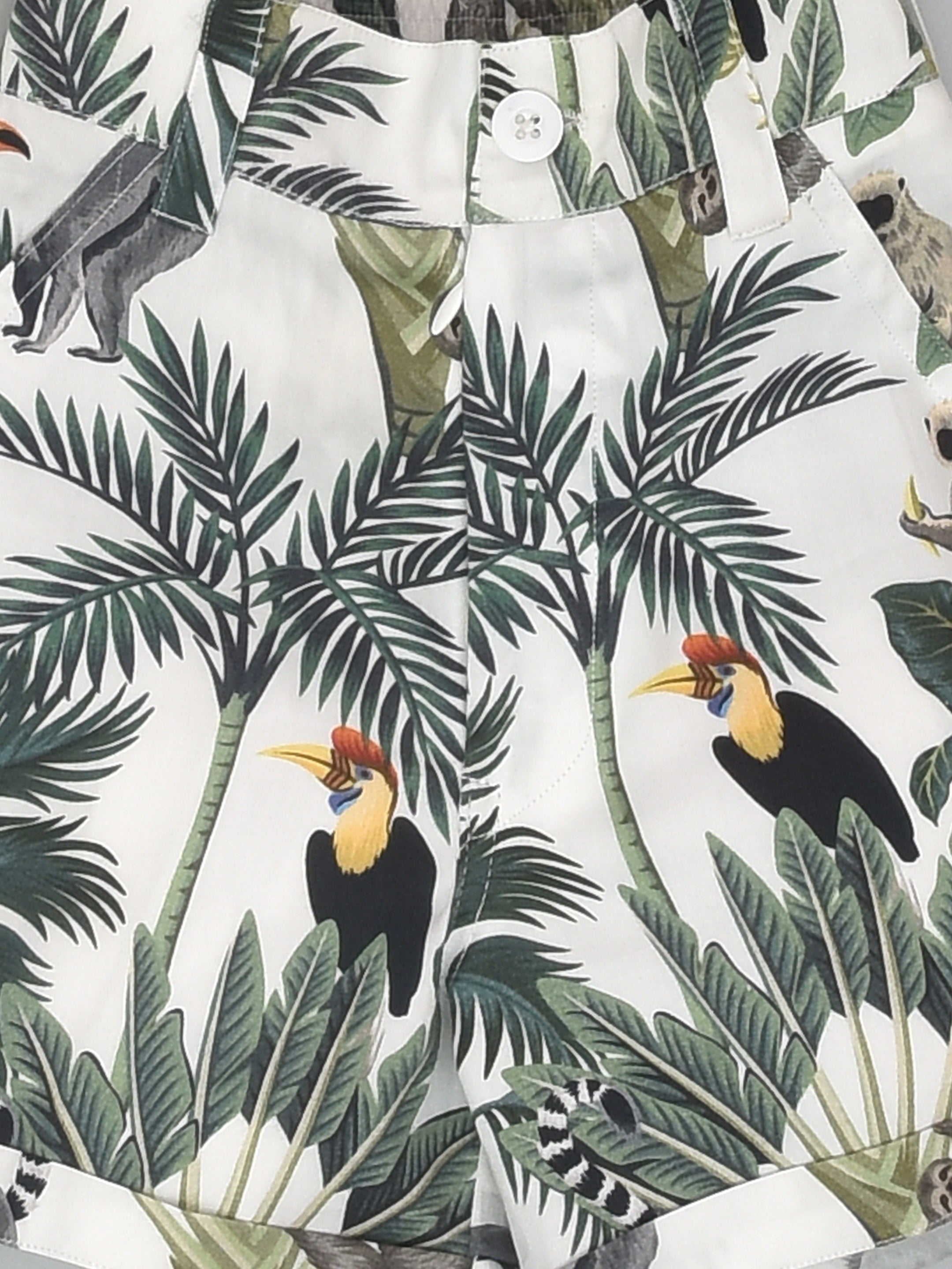 السراويل الطباعة الاستوائية