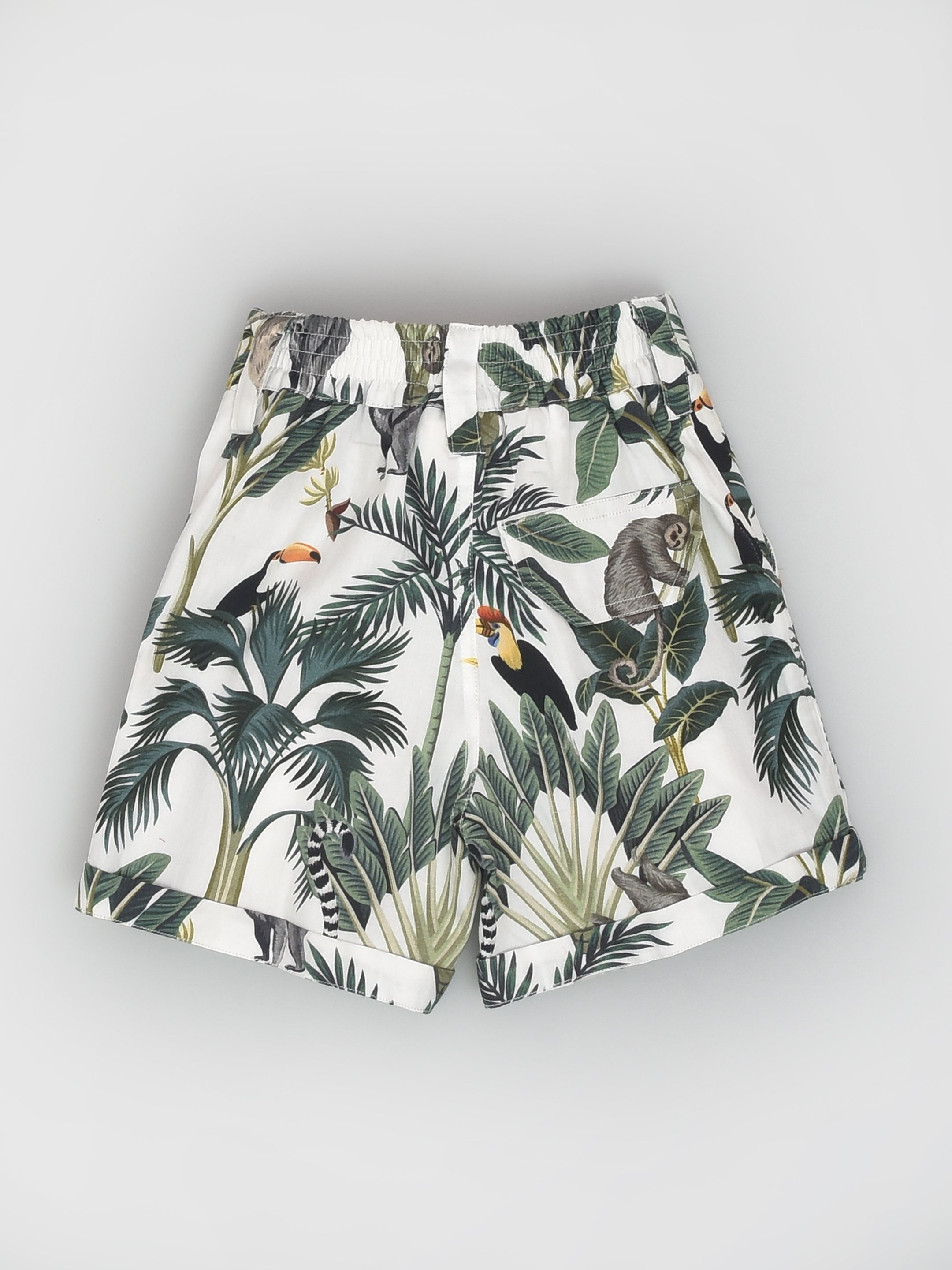 Tropical Print Shorts