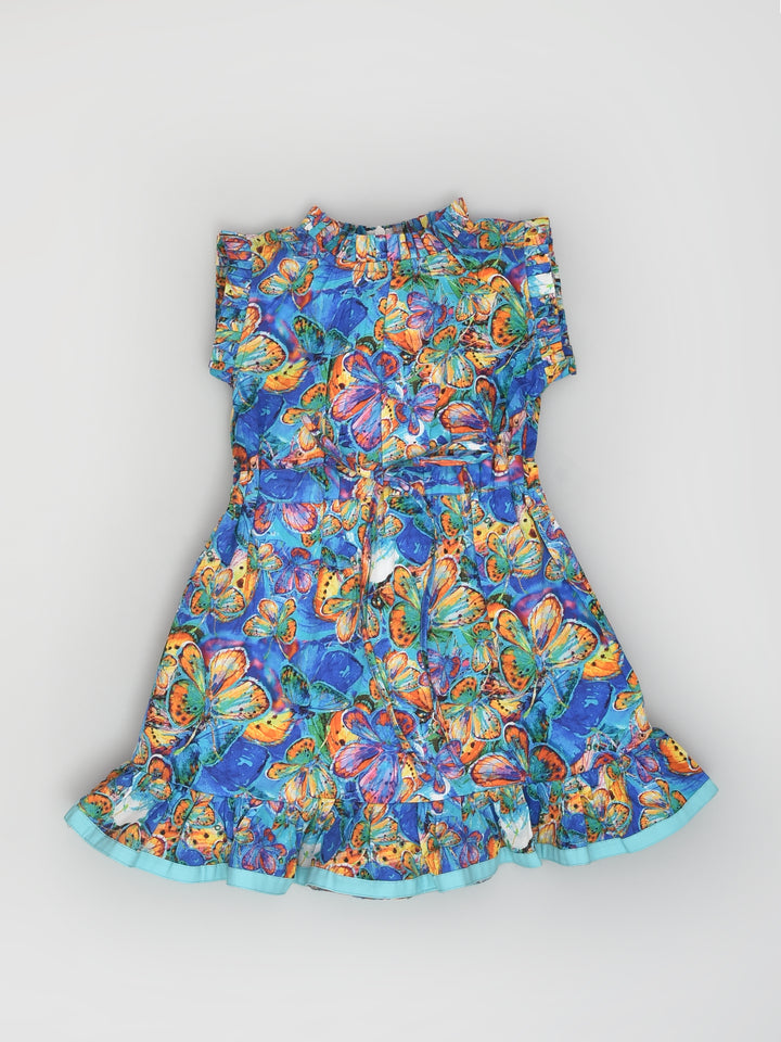 Blue Butterfly Dress