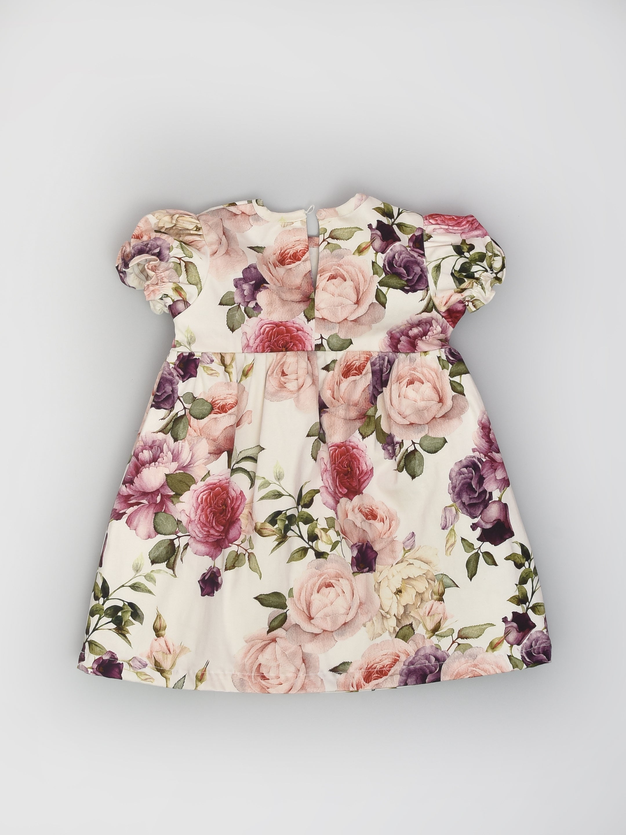 Rose Print Floral Dress